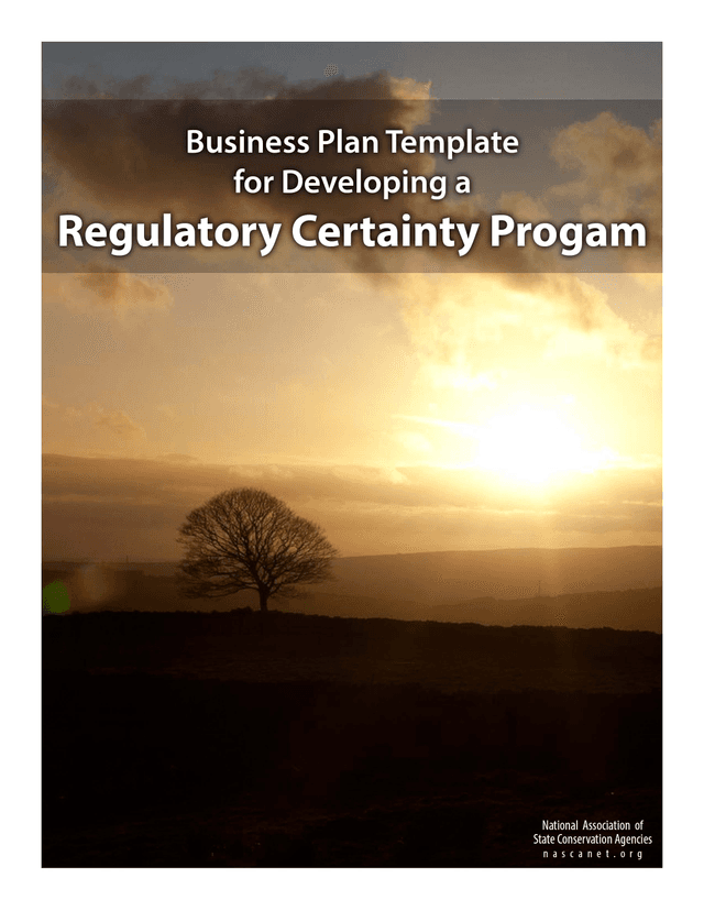 Business Plan Template For Developing A Regulatory Certainty Program screenshot