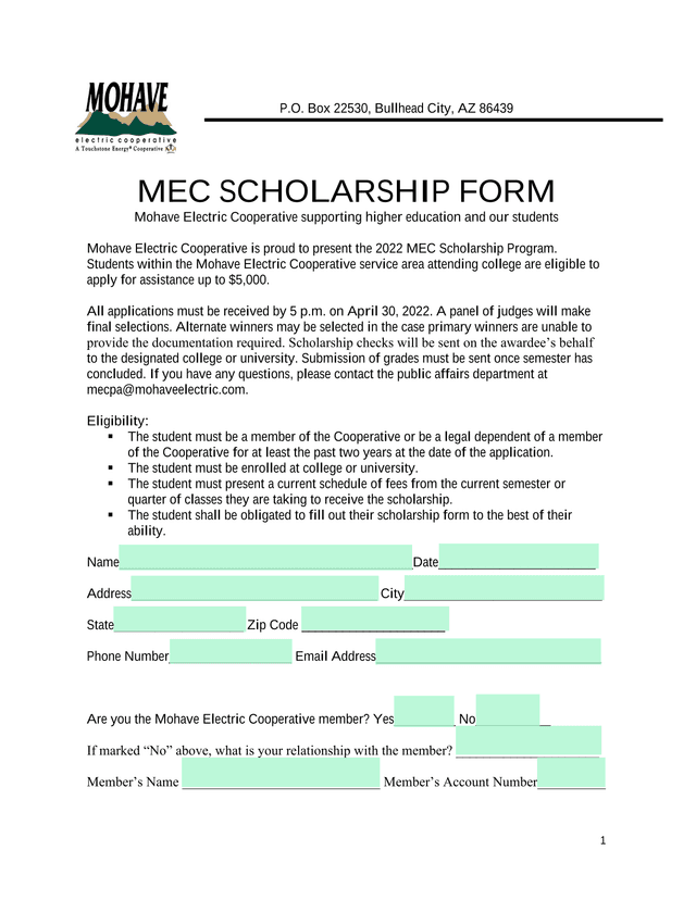 MEC SCHOLARSHIP FORM screenshot