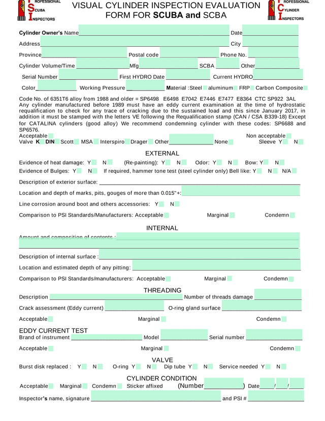 Cylinder Inspection Form screenshot