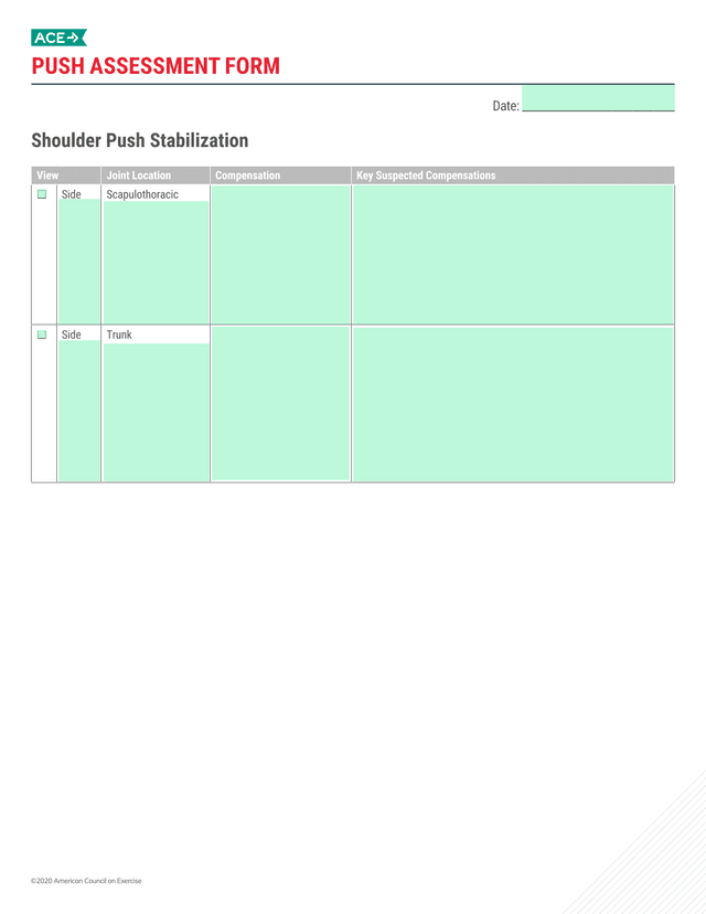Push Assessment Form   Shoulder Push Stabilization screenshot