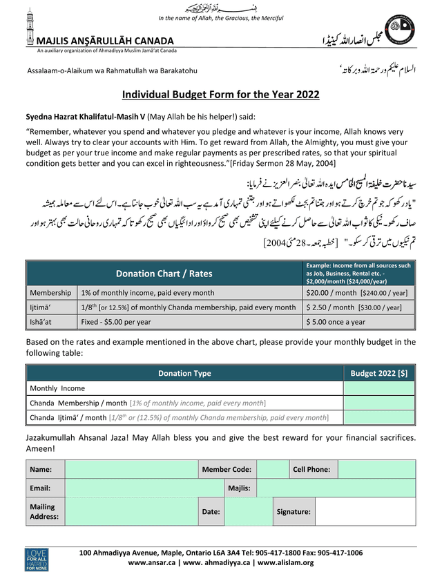 Individual Budget Form For The Year 2022 screenshot