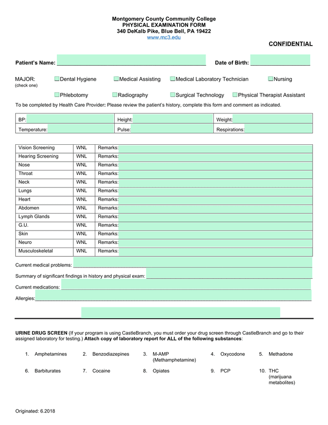 Physical Examination Form screenshot