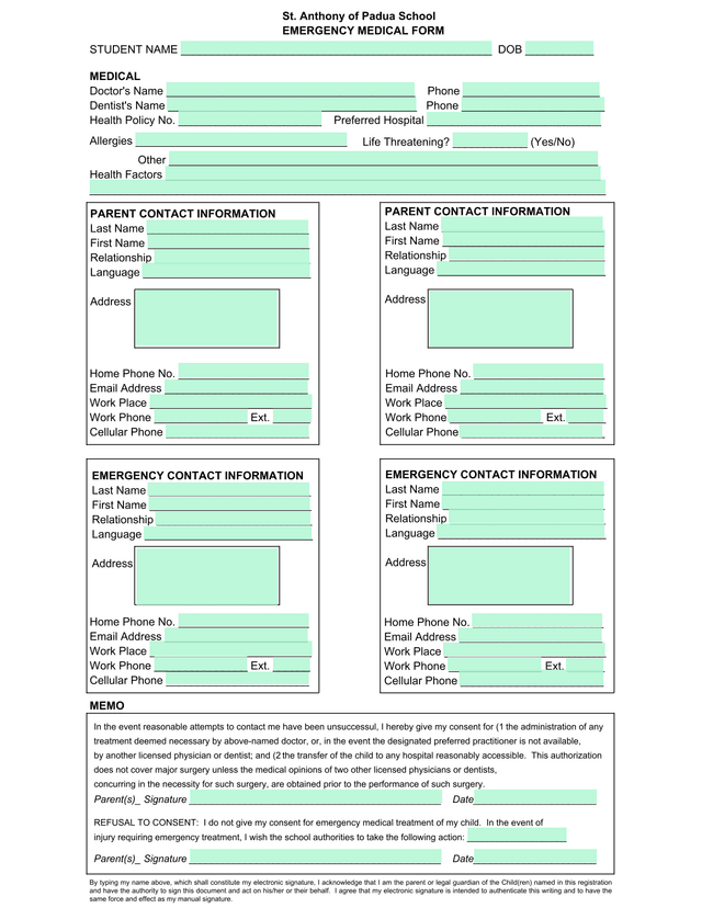 Emergency Medical Form screenshot