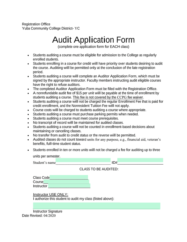 Audit Application Form screenshot