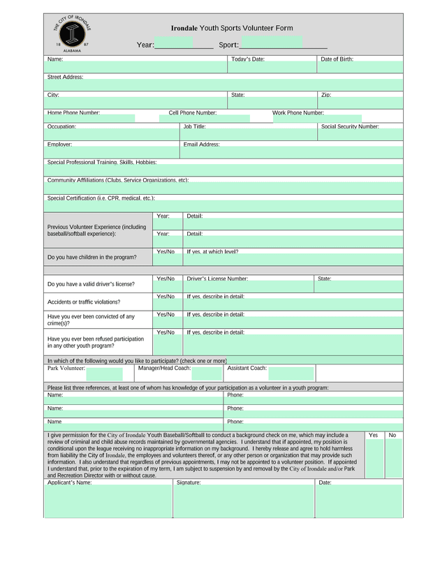Irondale Youth Sports Volunteer Form screenshot