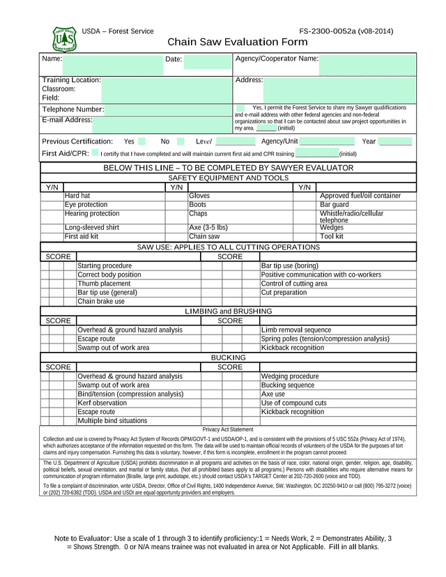 Chain Saw Evaluation Form screenshot
