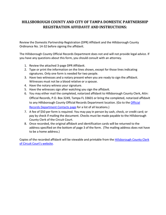 Hillsborough County And City Of Tampa Domestic Partnership Registration Affidavit And Instructions screenshot