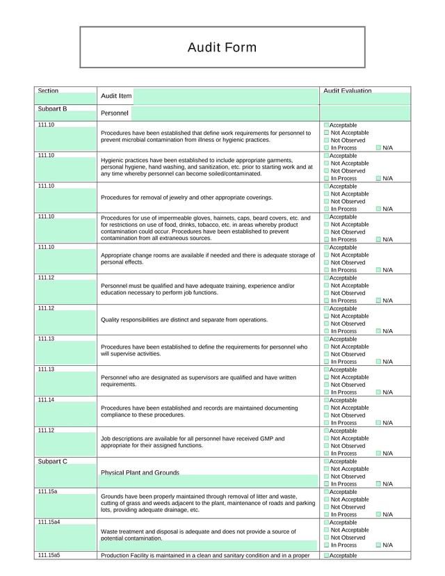 Audit Form screenshot