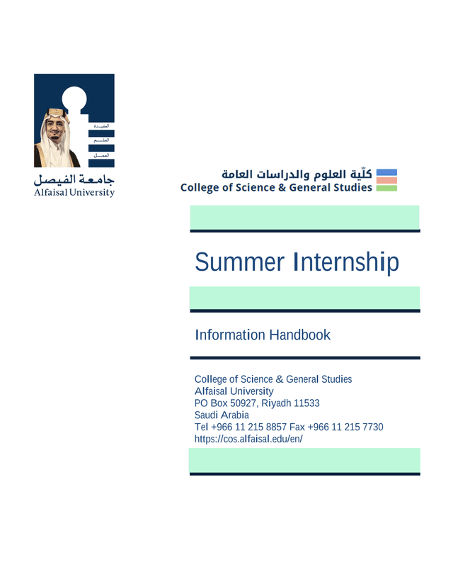 Summer Internship Information Handbook screenshot