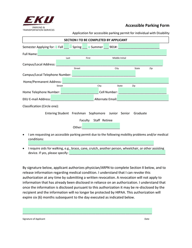 Accessible Parking Form screenshot