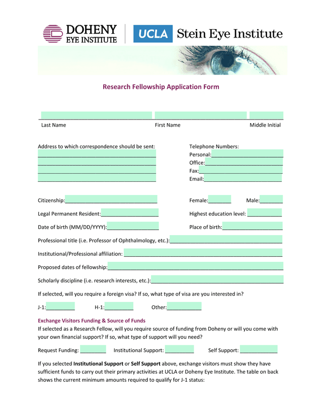 Research Fellowship Application Form screenshot