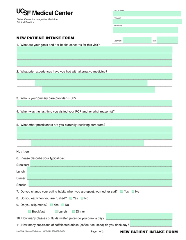 NEW PATIENT INTAKE FORM screenshot