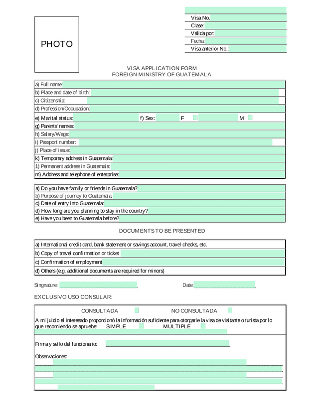 VISA APPLICATION FORM screenshot
