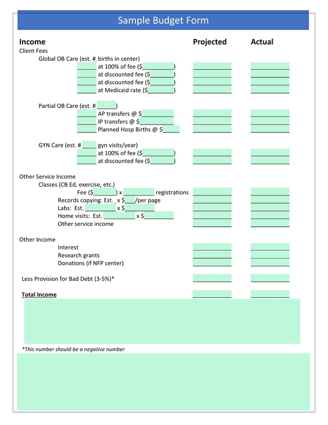Sample Budget Form screenshot