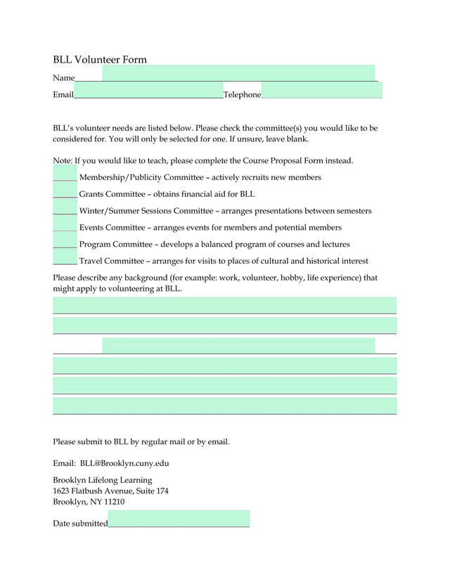 BLL Volunteer Form screenshot