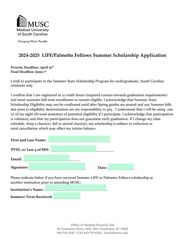 2024 2025 LIFEPalmetto Fellows Summer Scholarship Application screenshot