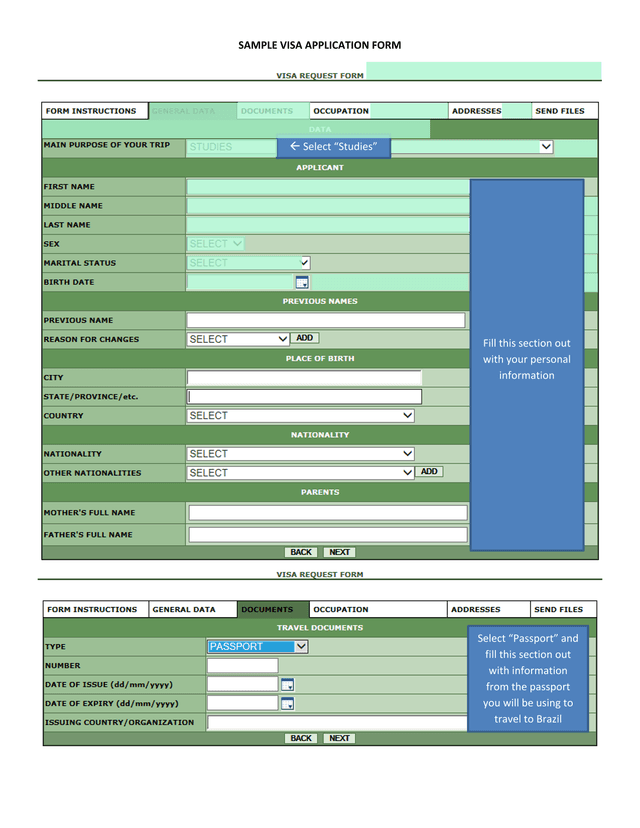 SAMPLE VISA APPLICATION FORM screenshot