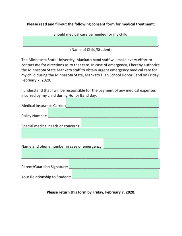 Medical Treatment Consent Form screenshot
