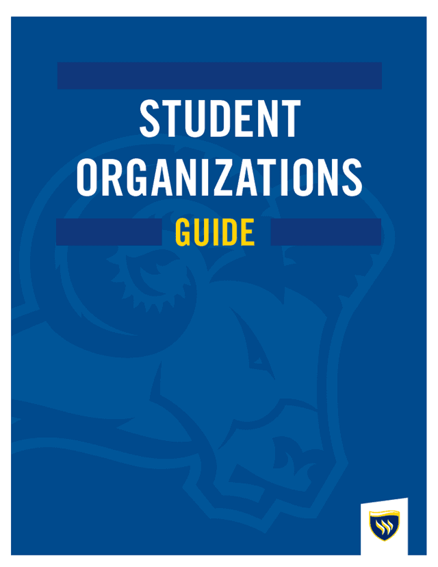 Registered Student Organization Handbook screenshot