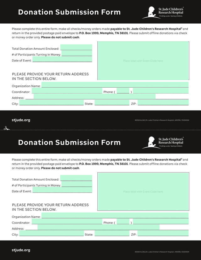 Donation Submission Form screenshot