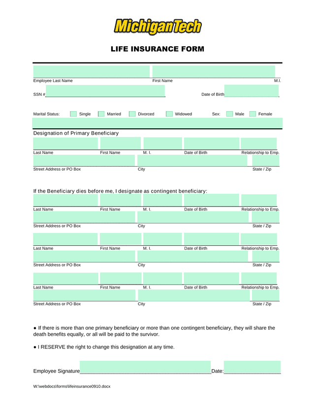 LIFE INSURANCE FORM screenshot