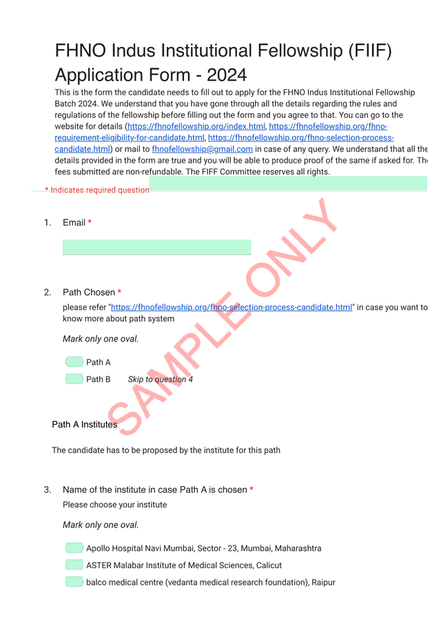FHNO Indus Institutional Fellowship (FIIF) Application Form   2024 screenshot