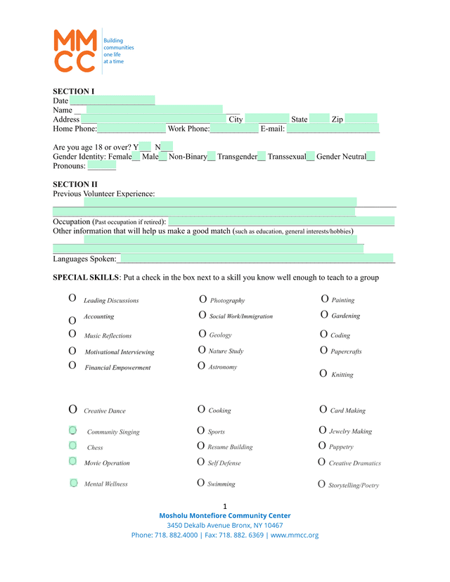 Volunteer Application Form screenshot
