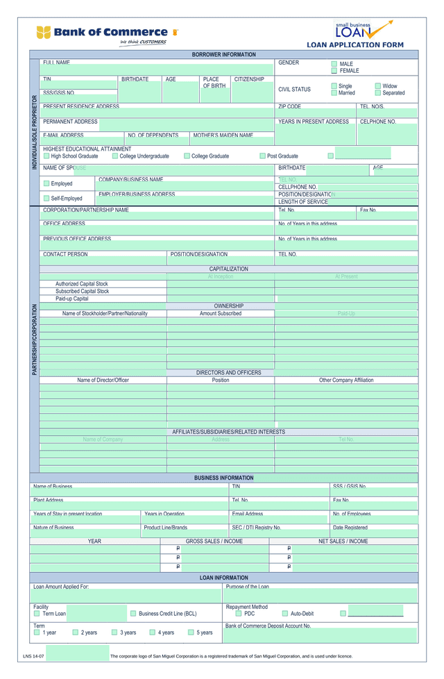 LNS 14 07 Borrower Information Form screenshot