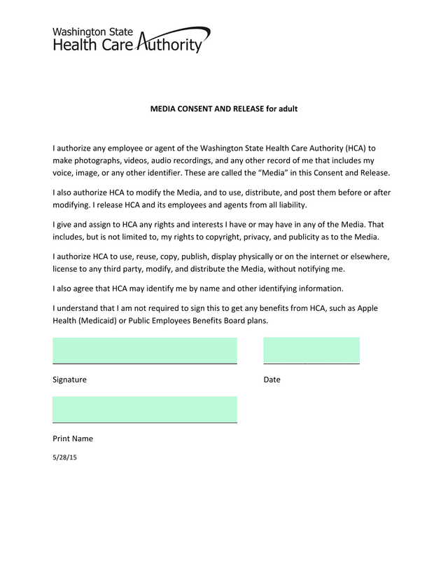 MEDIA CONSENT AND RELEASE For Adult screenshot