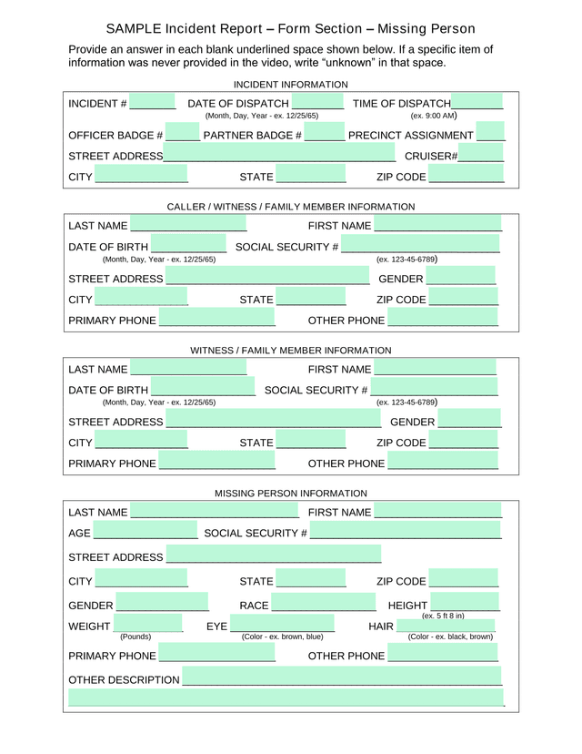 Incident Report  Form Section  Missing Person screenshot