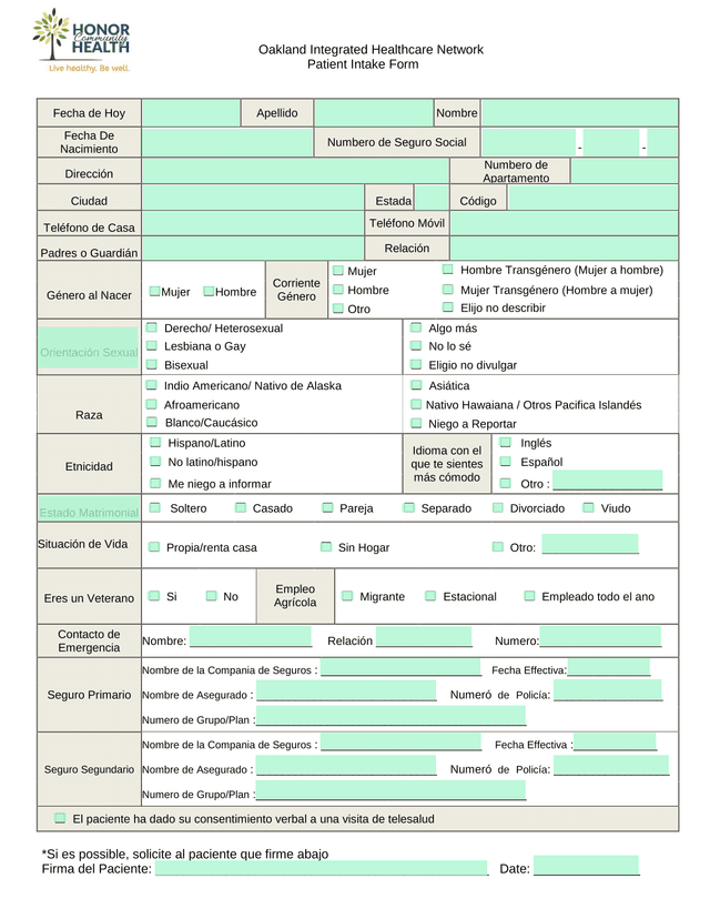 Patient Intake Form screenshot
