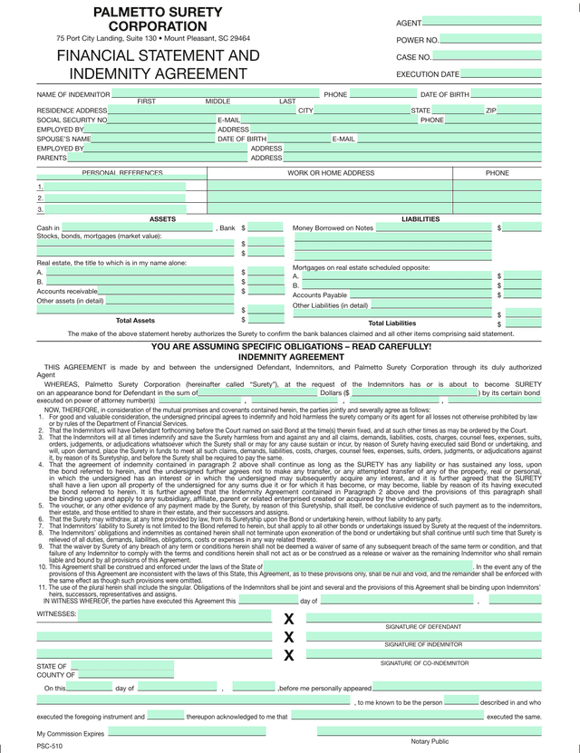 Palmetto Surety Corporation Financial Statement And Indemnity Agreement screenshot