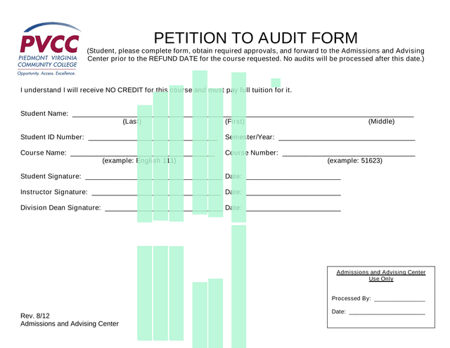 Petition To Audit Form screenshot