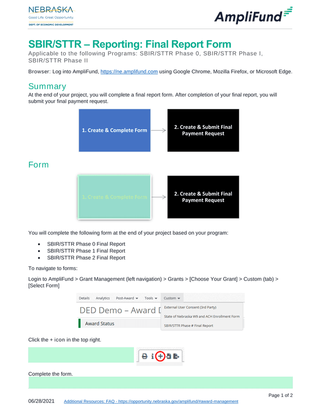 SBIRSTTR  Reporting Final Report Form screenshot