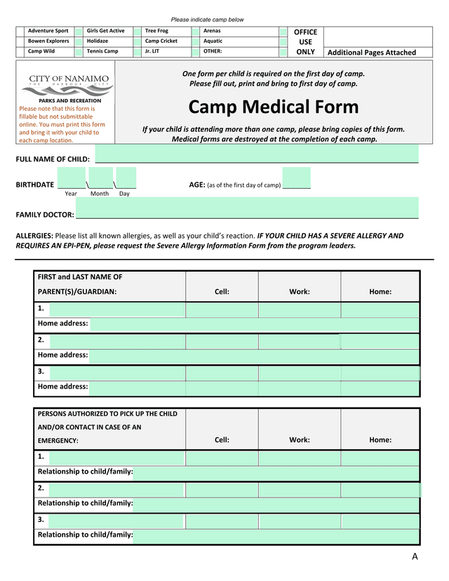 Camp Medical Form screenshot