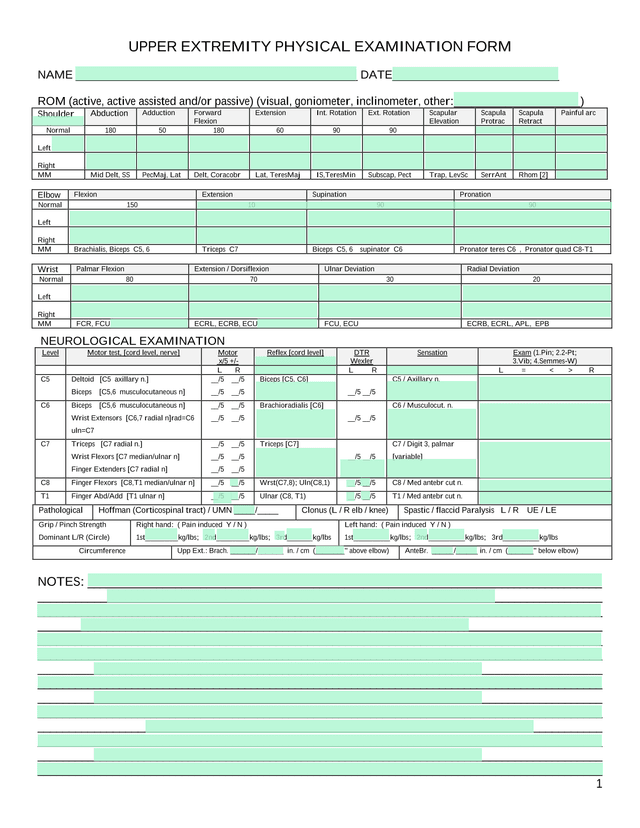 UPPER EXTREMITY PHYSICAL EXAMINATION FORM screenshot