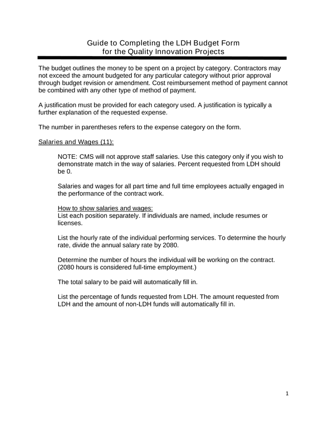 Guide To Completing The LDH Budget Form For The Quality Innovation Projects screenshot
