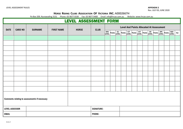 Level Assessment Form screenshot