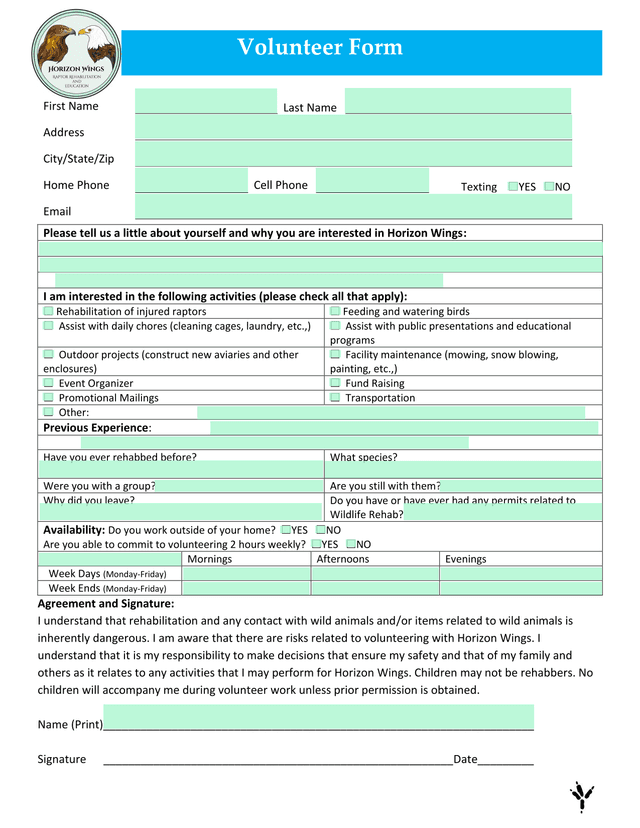 Volunteer Form screenshot