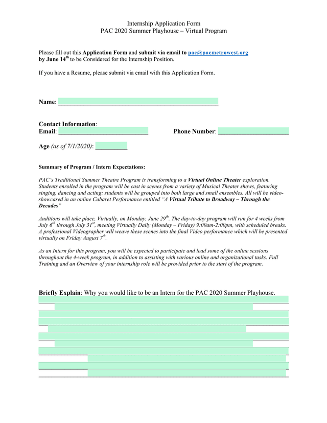 Internship Application Form screenshot