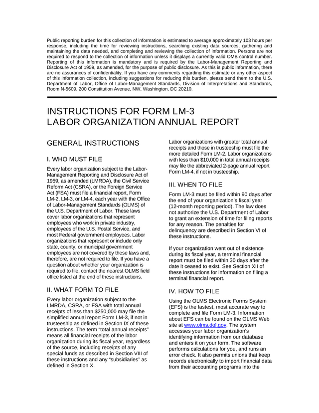 Form LM 3 Labor Organization Annual Report screenshot