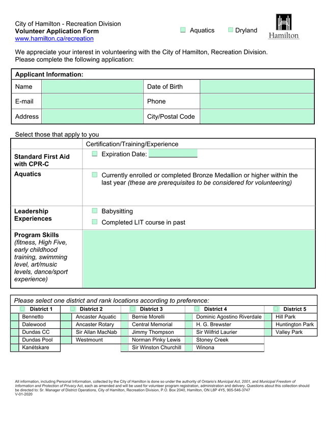 Volunteer Application Form screenshot