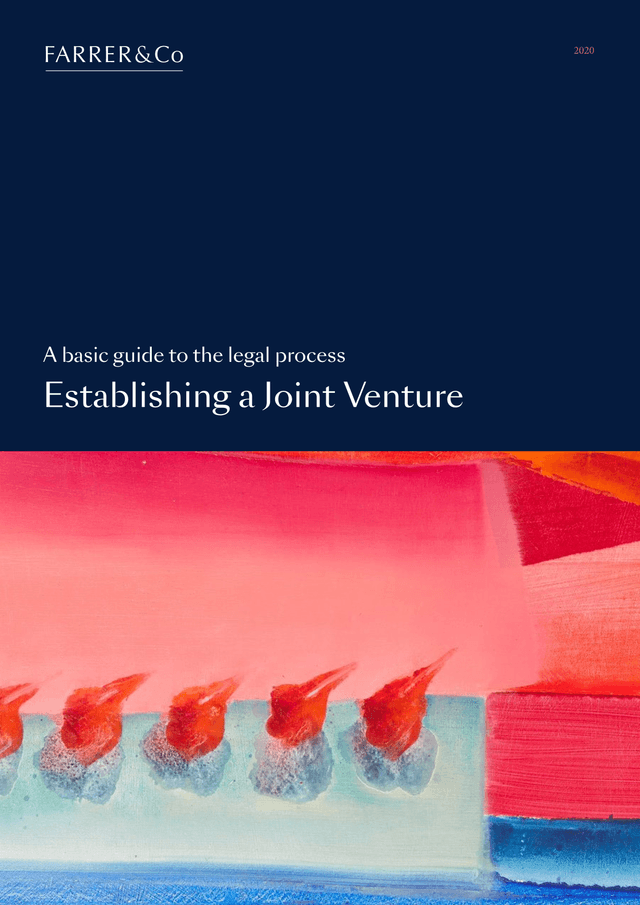 Establishing A Joint Venture screenshot