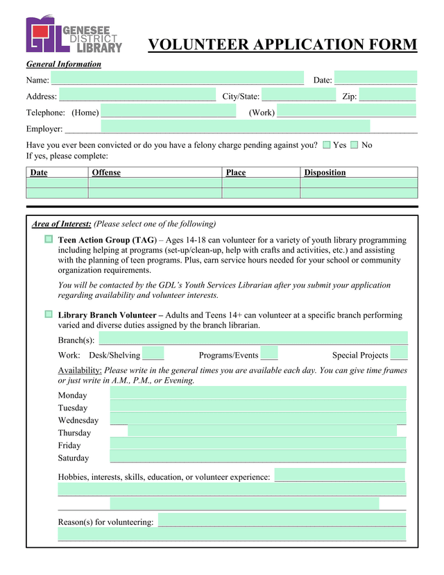 Volunteer Application Form screenshot