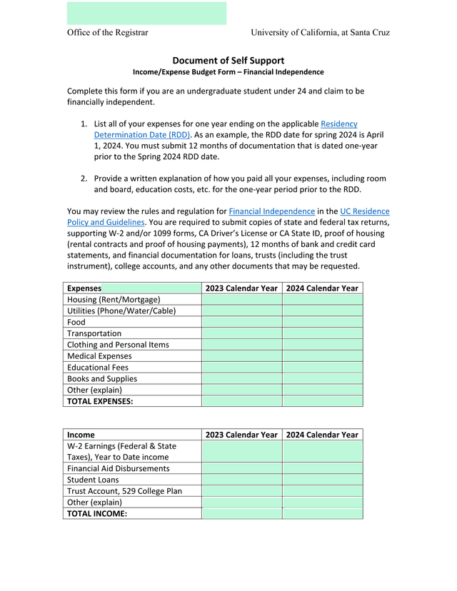 Document Of Self Support IncomeExpense Budget Form  Financial Independence screenshot