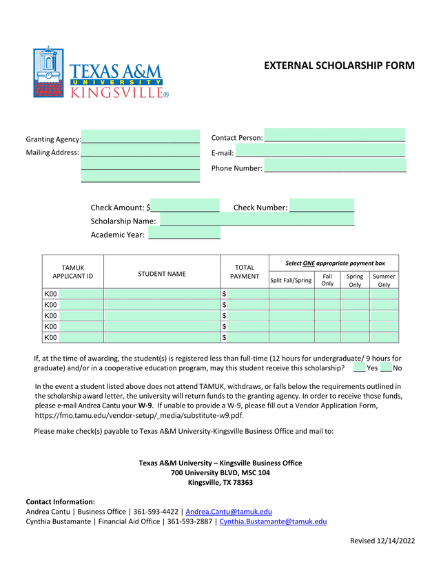 EXTERNAL SCHOLARSHIP FORM screenshot