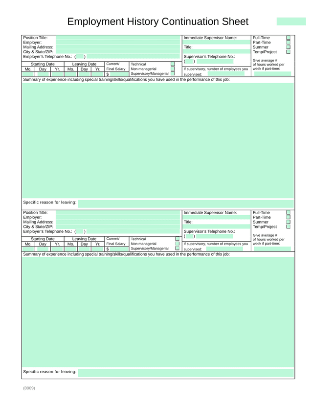 Employment History Continuation Sheet screenshot
