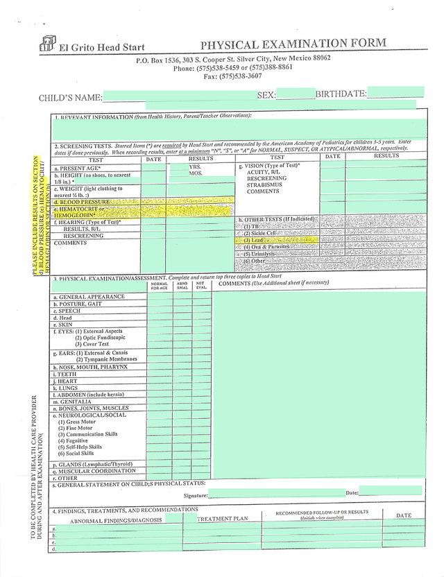 El Grito Head Start Physical Examination Form screenshot