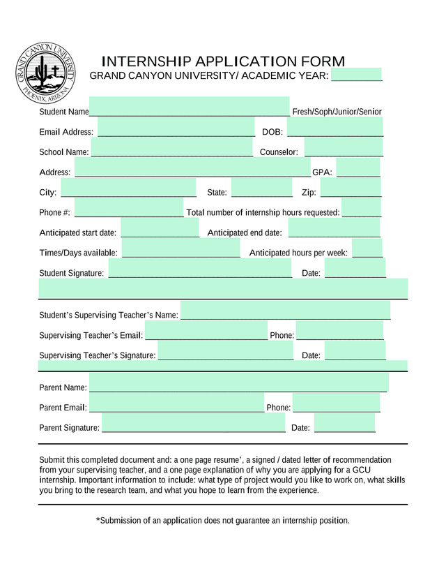Internship Application Form screenshot