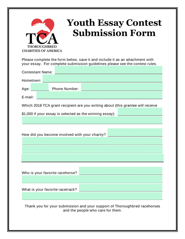 Youth Essay Contest Submission Form screenshot